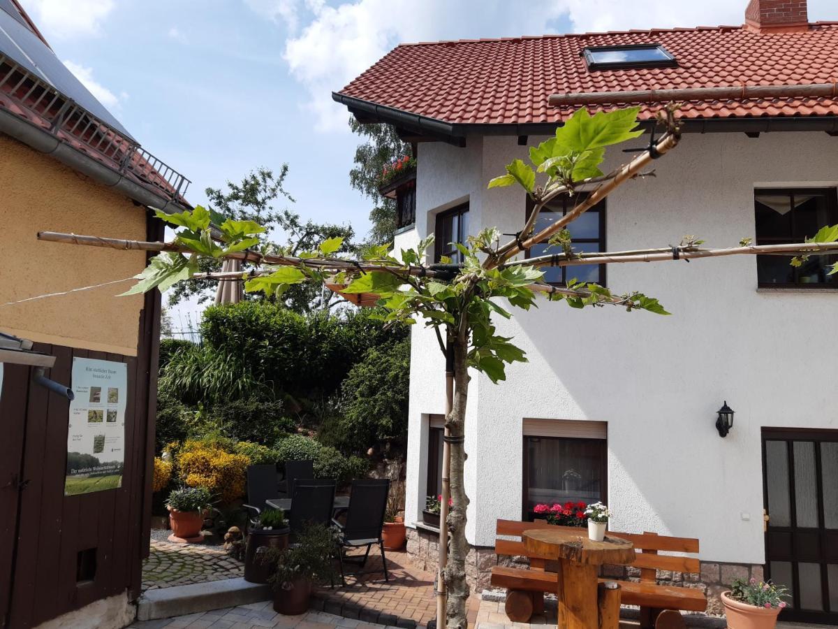 Ferienwohnung Reissmann Heinsdorfergrund Exterior foto